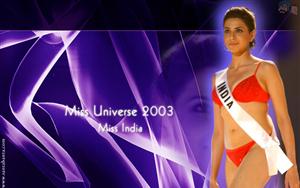 Miss Universe 2003